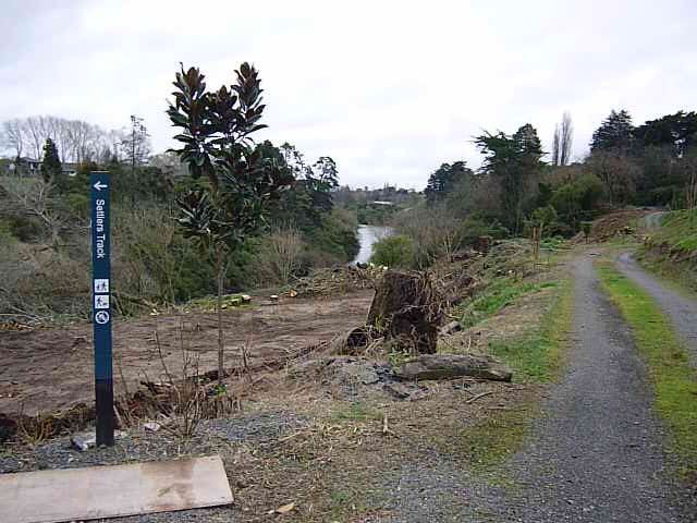 LSP- the beginning, 2008-11 Cambridge Tree Trust